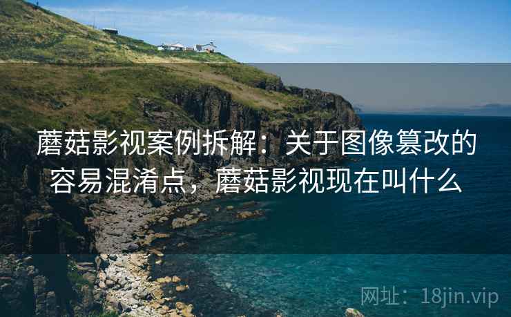 蘑菇影视案例拆解：关于图像篡改的容易混淆点，蘑菇影视现在叫什么
