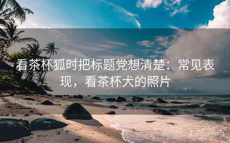 看茶杯狐时把标题党想清楚：常见表现，看茶杯犬的照片