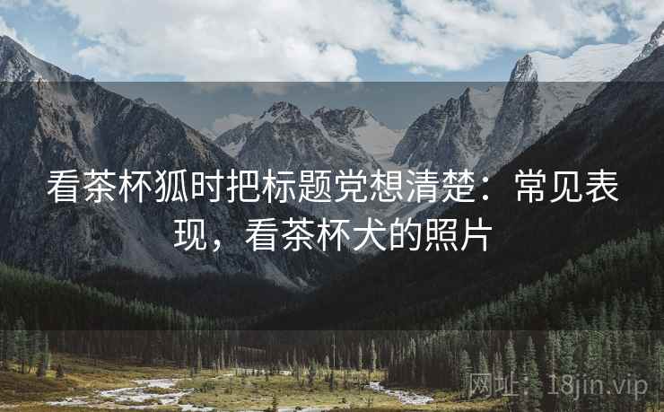 看茶杯狐时把标题党想清楚：常见表现，看茶杯犬的照片